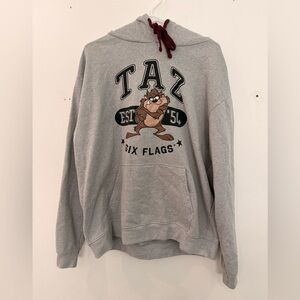 Taz Gray Hoodie for Anyone
